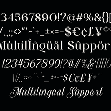 stylish-harmony-elegant-serif-script-duo-font-unknown-creator-10.png
