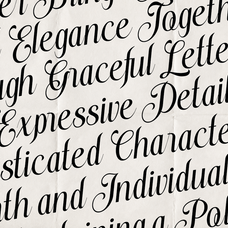stylish-harmony-elegant-serif-script-duo-font-unknown-creator-2.png