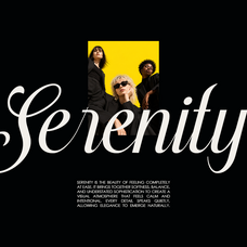 stylish-harmony-elegant-serif-script-duo-font-unknown-creator-6.png