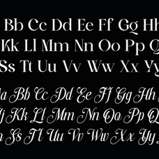 stylish-harmony-elegant-serif-script-duo-font-unknown-creator-9.png