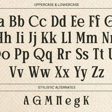 stylish-serif-patcher-say-studio-8.png