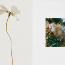 subtle-paper-textures-pixelbuddha-3.jpg