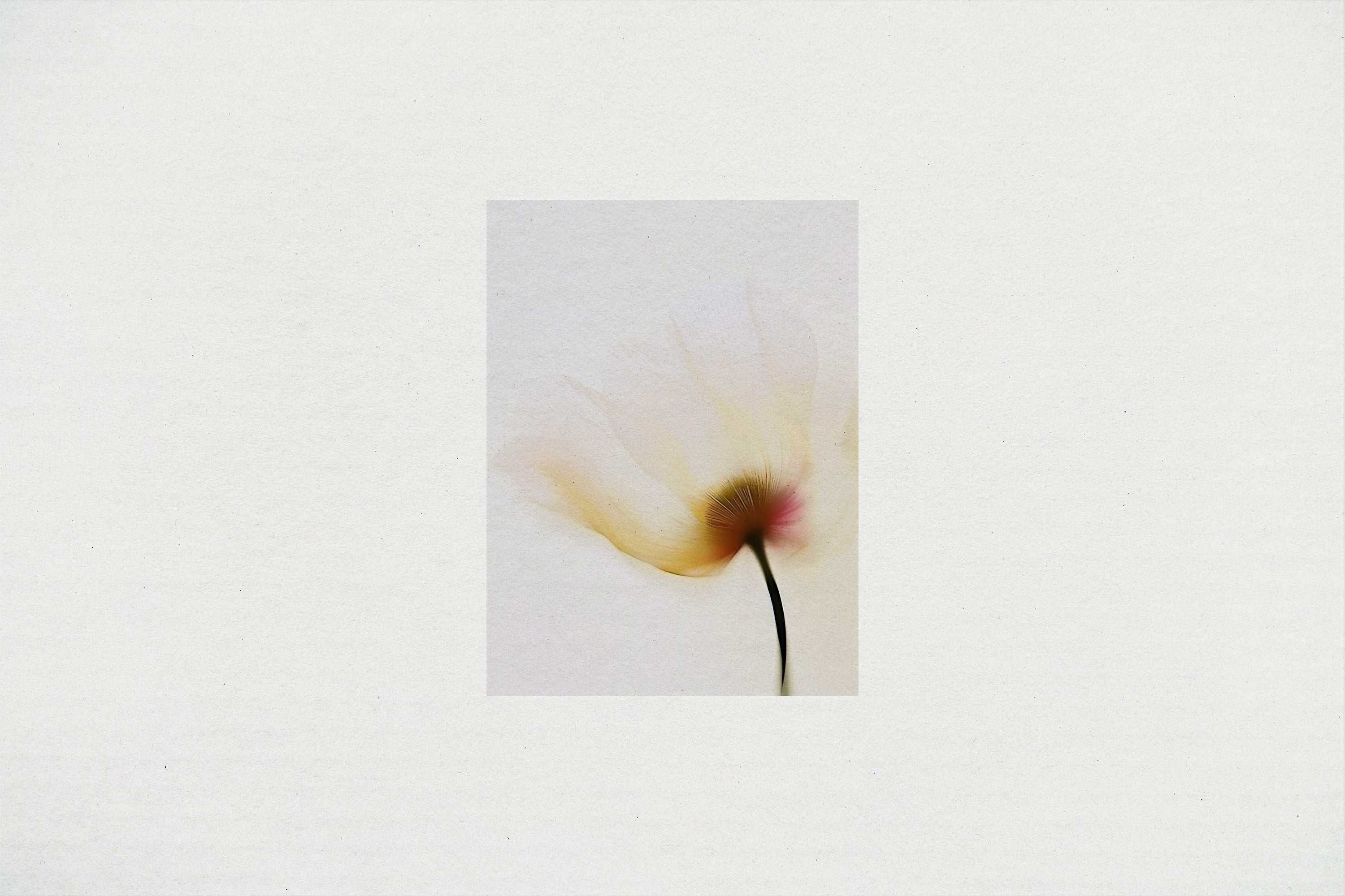 subtle-paper-textures-pixelbuddha-5.jpg