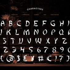 suiren-oriental-creative-type-font-unknown-creator-2.jpg