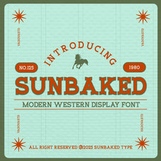 sunbaked-modern-western-display-font-vadova-studio-1.jpg