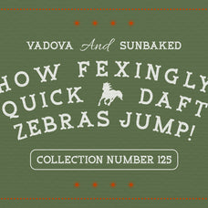 sunbaked-modern-western-display-font-vadova-studio-3.jpg