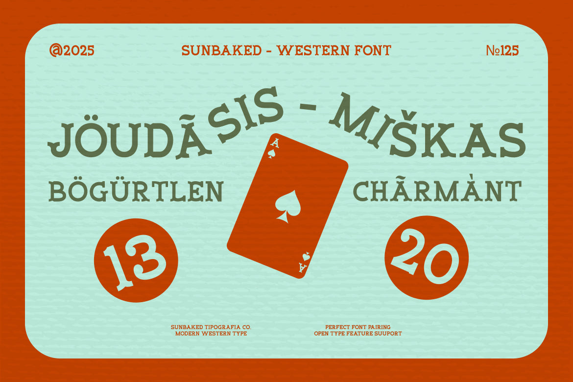 sunbaked-modern-western-display-font-vadova-studio-4.jpg