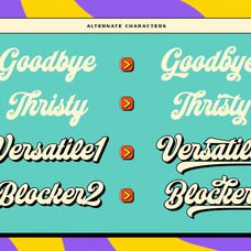sundries-retro-bold-script-font-angin-studio-6.jpg