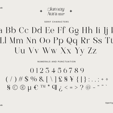 sunray-aura-modern-serif-script-font-roomspace-creative-lab-8.png