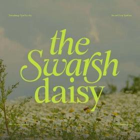 Swarsh Daisy