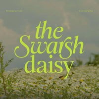Swarsh Daisy