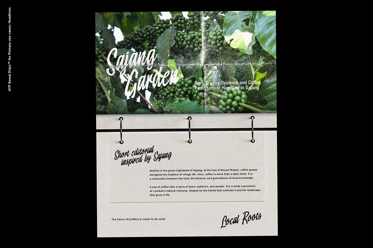 sweat-drips-brush-script-font-typeparties-7.png