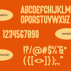 tacozy-creative-display-font-brandearth-studio-2.jpg