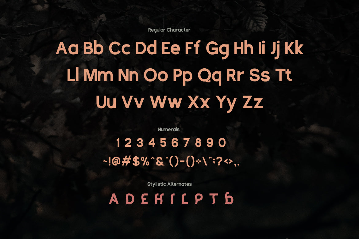 tangeren-unique-bold-sans-serif-font-vadova-studio-2.jpg
