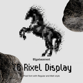 TB Rixel Display
