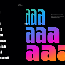 tbj-dogmu-bold-power-sans-serif-taboja-studio-3.png