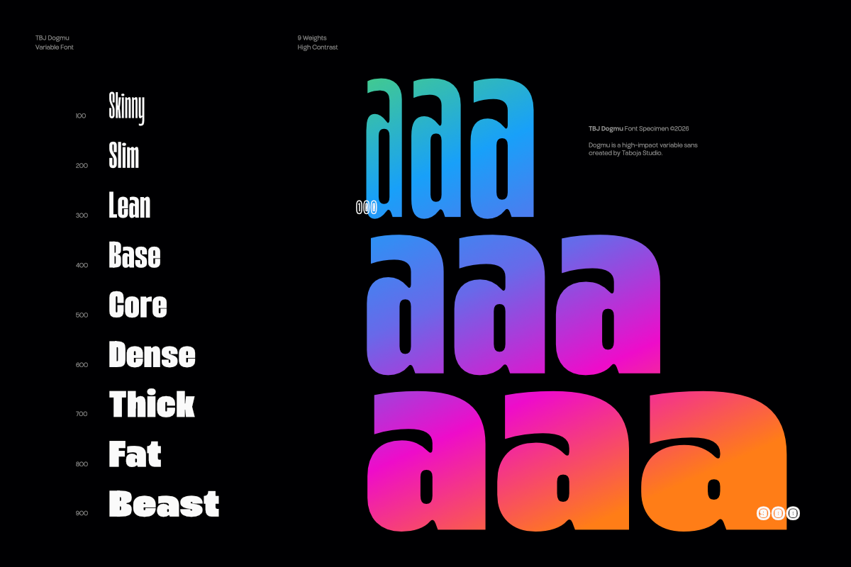 tbj-dogmu-bold-power-sans-serif-taboja-studio-3.png