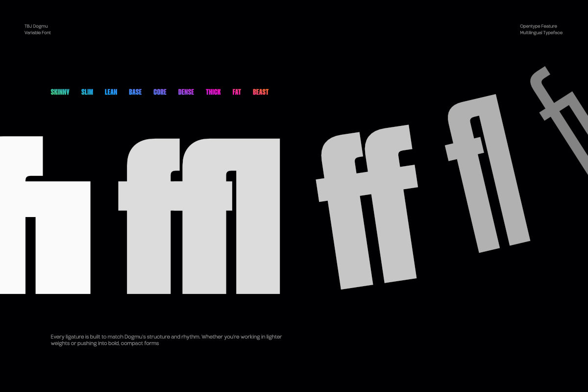 tbj-dogmu-bold-power-sans-serif-taboja-studio-4.png