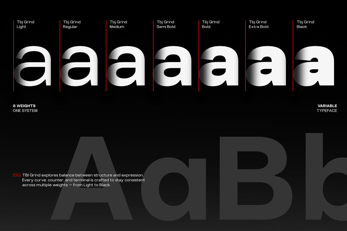 tbj-elvaro-grotesque-sans-family-taboja-studio-2.png