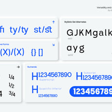 tbj-endgraph-2-styles-taboja-studio-11.jpg