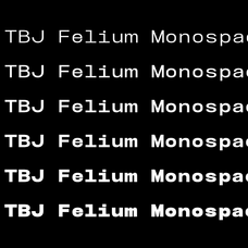 tbj-felium-monospace-font-family-taboja-studio-4.png