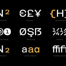 tbj-felium-monospace-font-family-taboja-studio-5.png