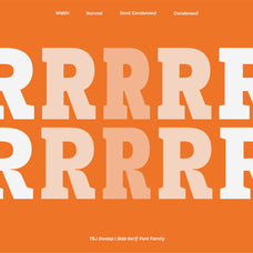 tbj-goslap-slab-font-family-taboja-studio-9.jpg
