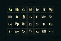 TBJ Malibu Condensed Display Font