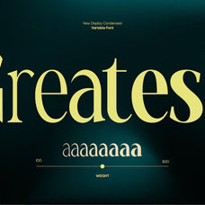 tbj-malibu-condensed-display-font-taboja-studio-6.jpg