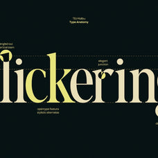 tbj-malibu-condensed-display-font-taboja-studio-7.jpg