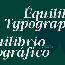 tbj-moltefamilia-elegant-serif-typeface-italic-taboja-studio-15.png
