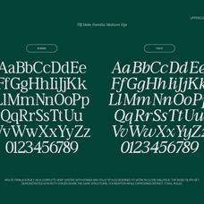 tbj-moltefamilia-elegant-serif-typeface-italic-taboja-studio-2.png