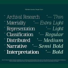 tbj-moltefamilia-elegant-serif-typeface-italic-taboja-studio-3.png