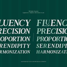 tbj-moltefamilia-elegant-serif-typeface-italic-taboja-studio-5.png