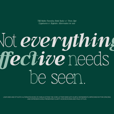 tbj-moltefamilia-elegant-serif-typeface-italic-taboja-studio-7.png