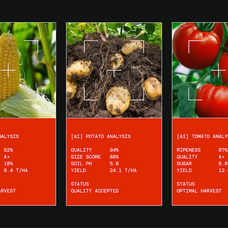 tbj-monodrip-inktrap-monospace-font-family-taboja-studio-12.png