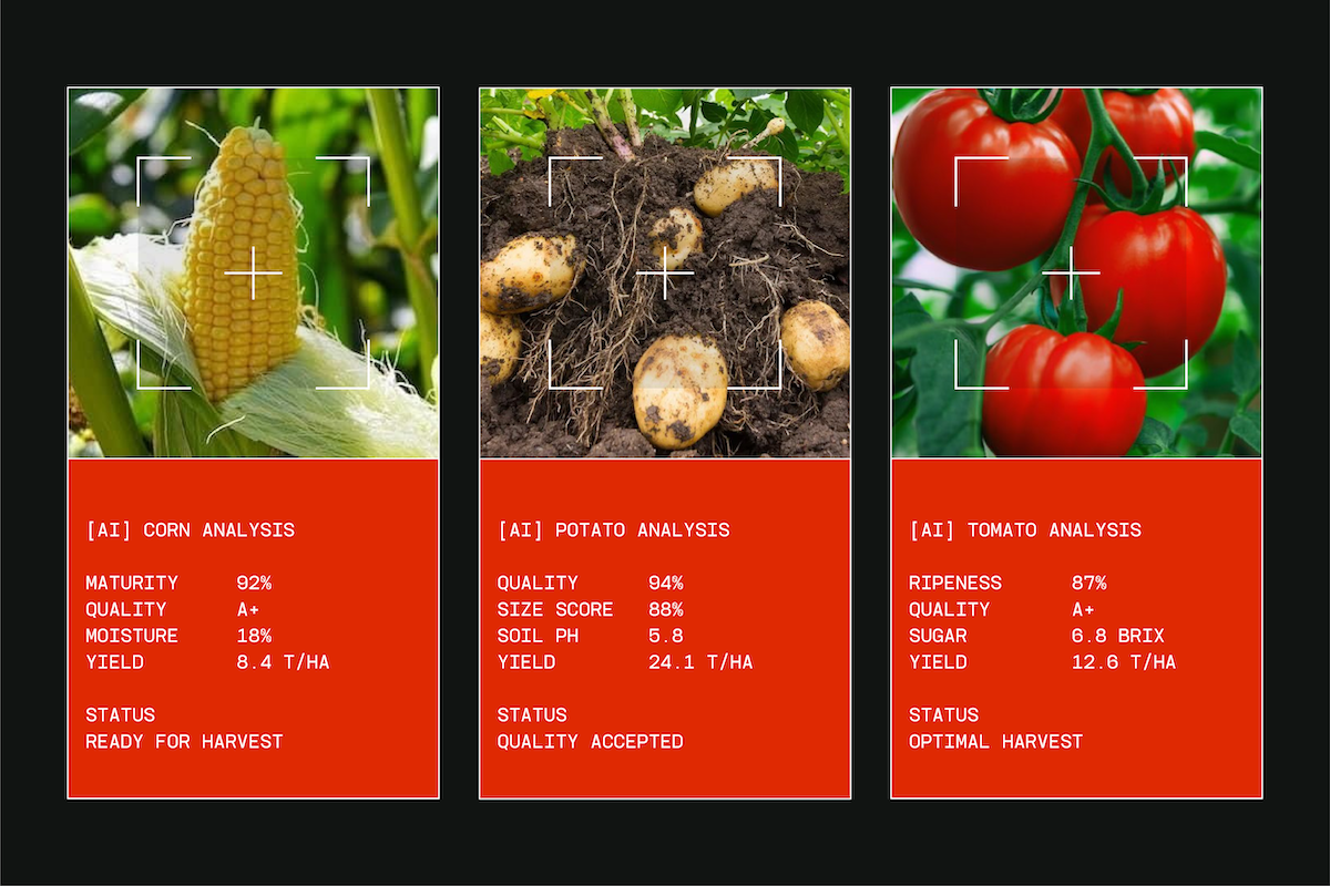 tbj-monodrip-inktrap-monospace-font-family-taboja-studio-12.png