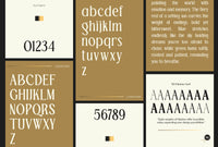 TBJ Palatino San serif With Serif