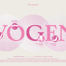 tbj-pros-vogen-luxury-modern-serif-taboja-studio-4.png