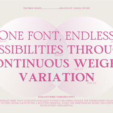 tbj-pros-vogen-luxury-modern-serif-taboja-studio-6.png