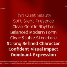 tbj-sienna-elegant-serif-font-family-taboja-studio-3.png