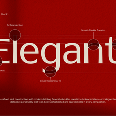 tbj-sienna-elegant-serif-font-family-taboja-studio-4.png