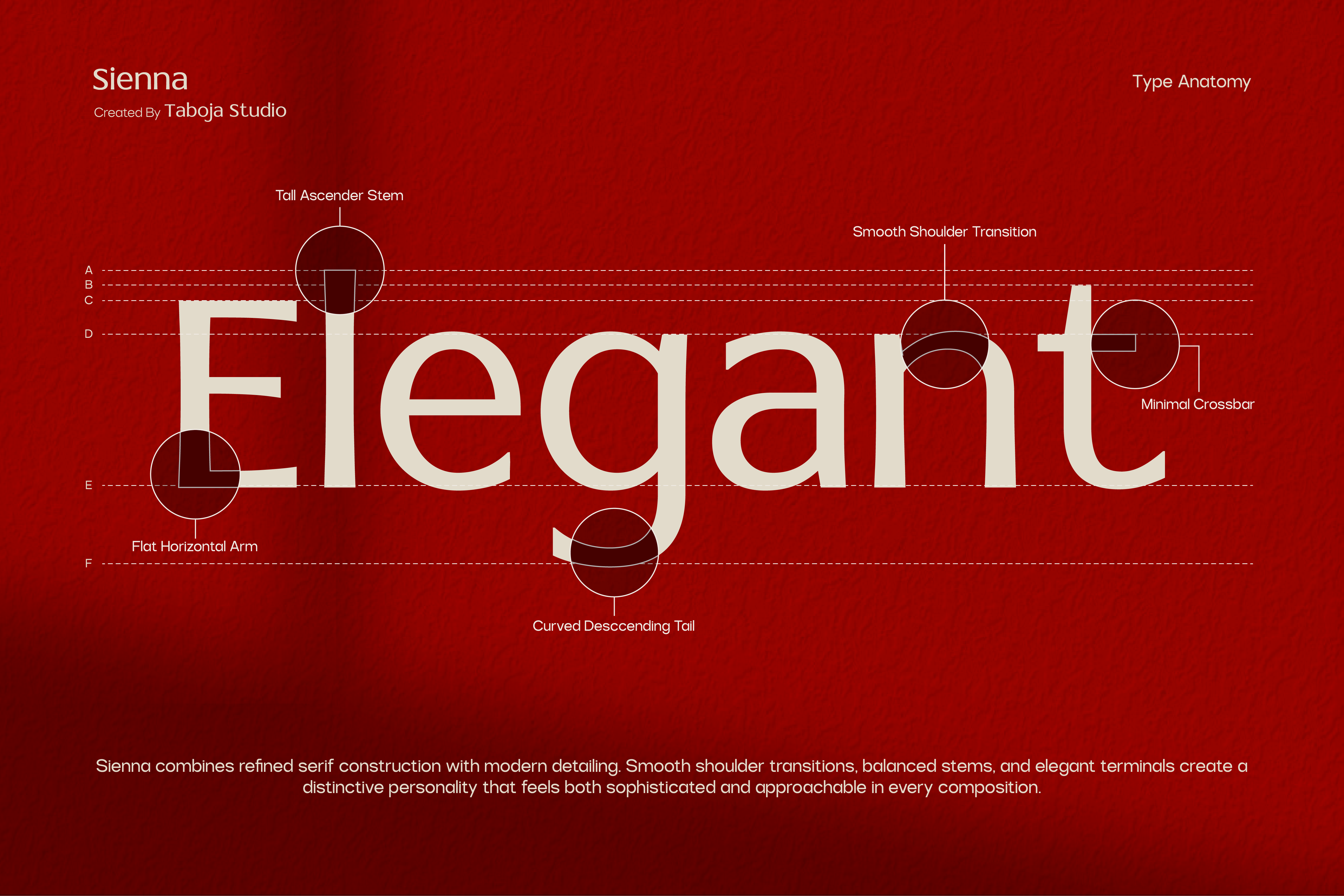 tbj-sienna-elegant-serif-font-family-taboja-studio-4.png