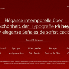 tbj-sienna-elegant-serif-font-family-taboja-studio-5.png
