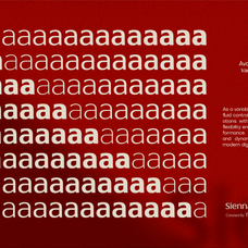 tbj-sienna-elegant-serif-font-family-taboja-studio-6.png