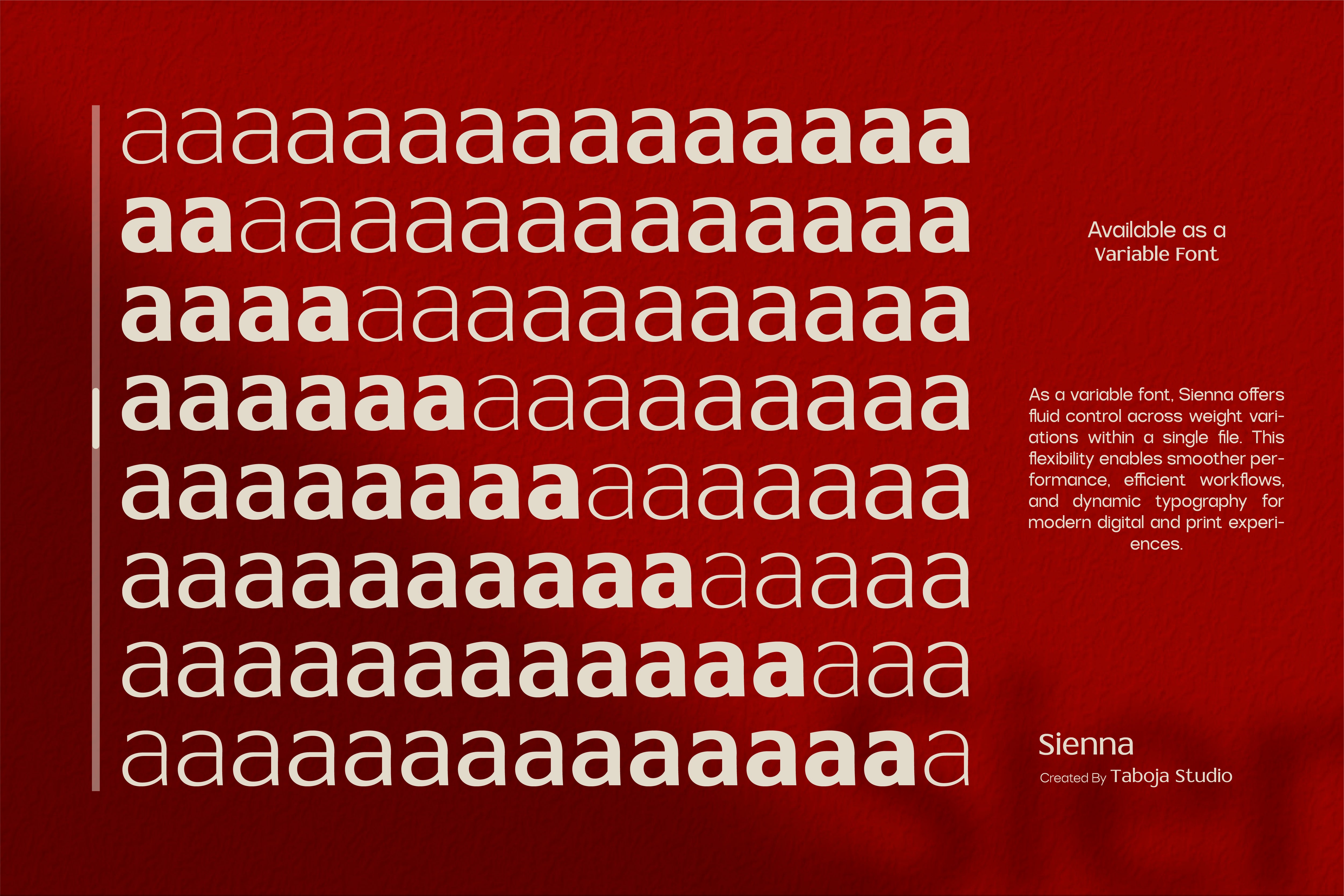 tbj-sienna-elegant-serif-font-family-taboja-studio-6.png