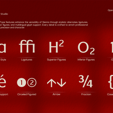 tbj-sienna-elegant-serif-font-family-taboja-studio-7.png