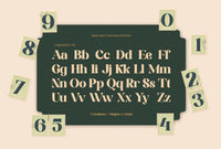 TBJ Sodabery Serif Retro Family