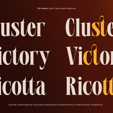 tbj-valmist-elegant-modern-serif-typeface-taboja-studio-10.png