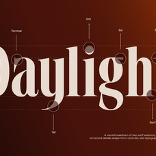 tbj-valmist-elegant-modern-serif-typeface-taboja-studio-4.png